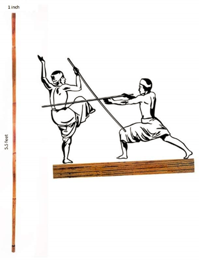 THE ESTABLISHMENT OF THE ASSOCIATION